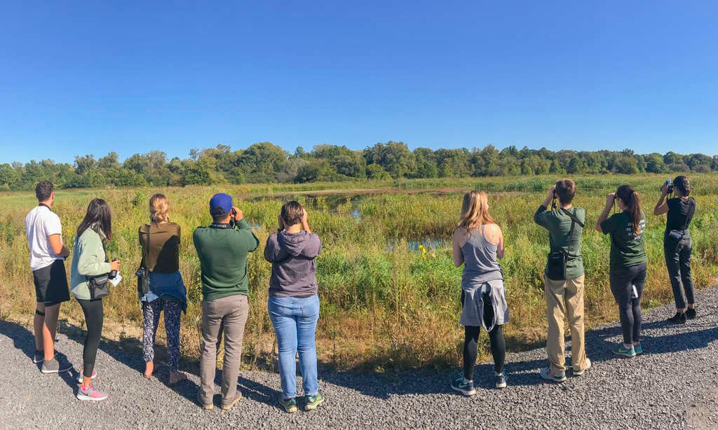 Working on an F-1 Visa